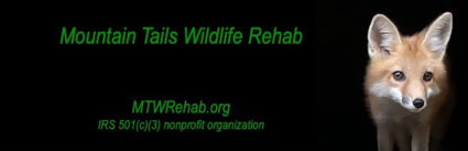 wildlife rehab logo